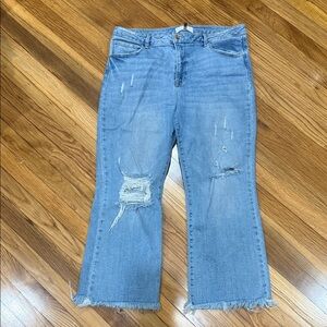 Risen Distressed Blue Jeans